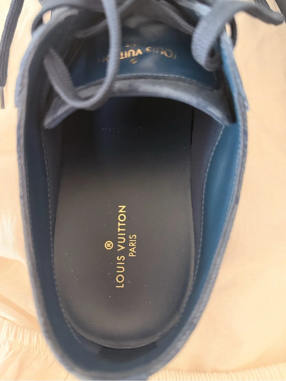 Louis Vuitton Navy Blue Leather Low-Top Sneakers